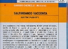 Saltimbanco